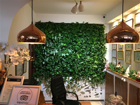 Grădină verticală cu plante naturale – Hotel Drăgului, foto 8 din 10